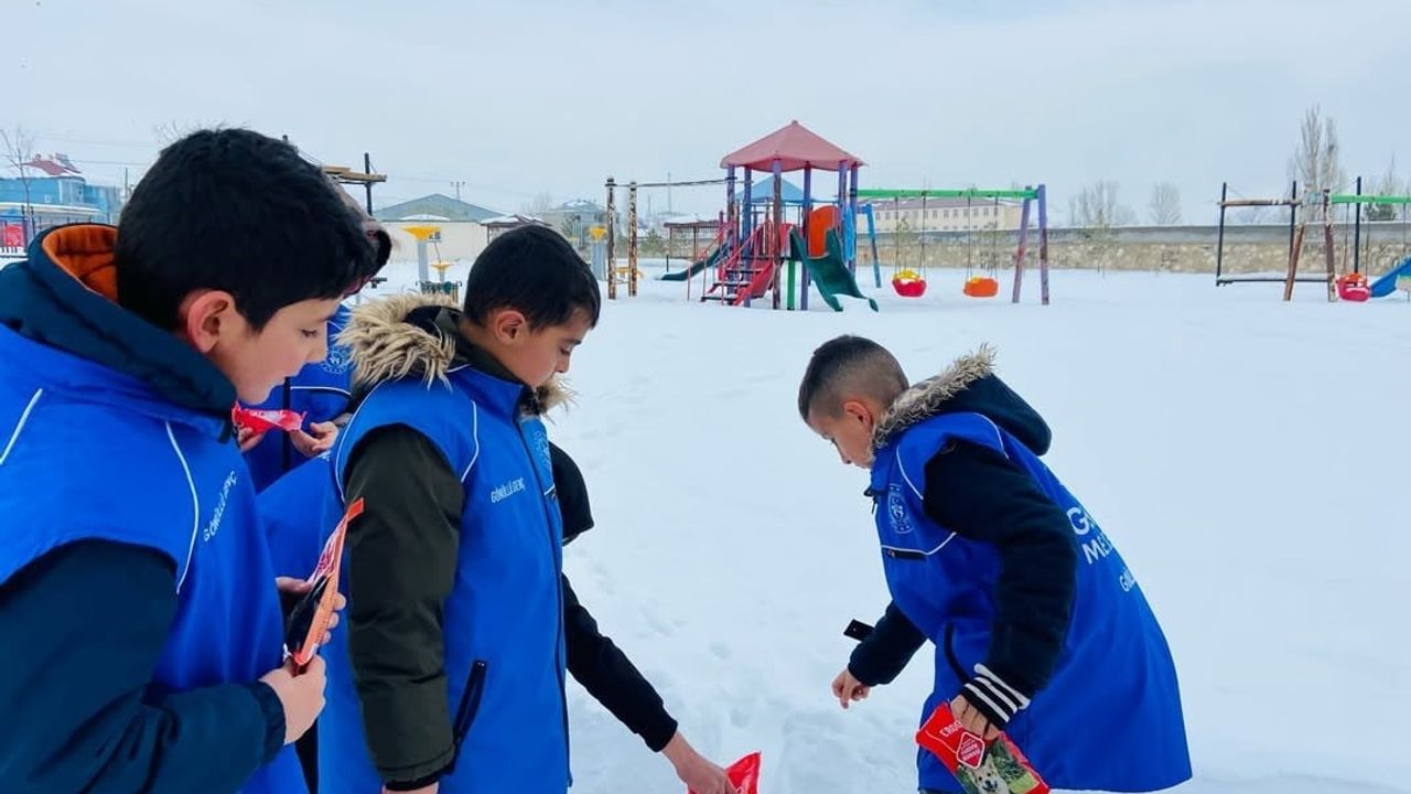 Diyadin'de Gençlerden Sokak Hayvanlarına Destek