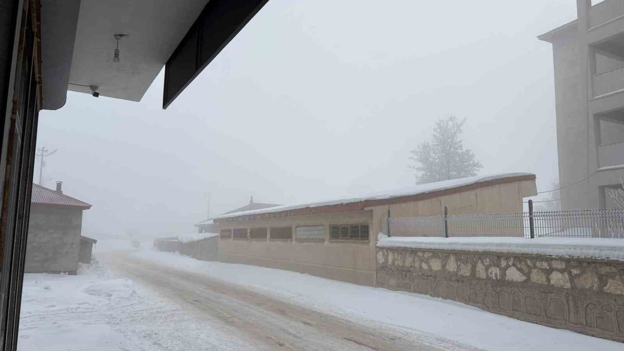 Diyadin'de Yoğun Sis Hayatı Olumsuz Etkiledi