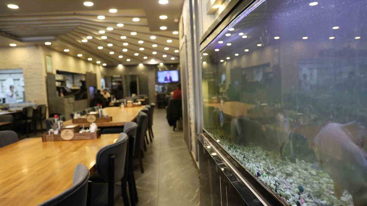 Diyarbakır'da 12 Yıldır Pirana Balığı Besleniyor