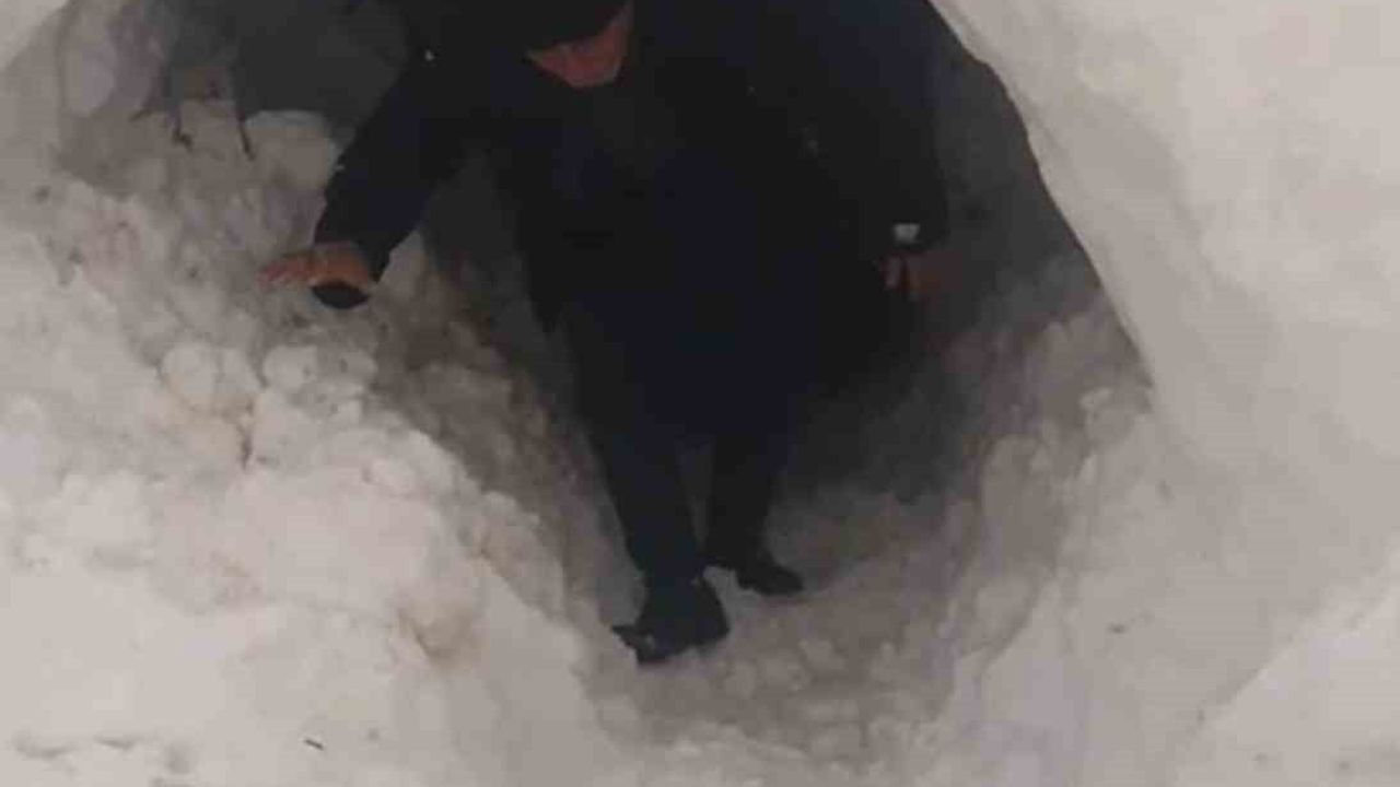 Diyarbakır'da Besici Kardan Tünel Açarak Ahırına Girdi