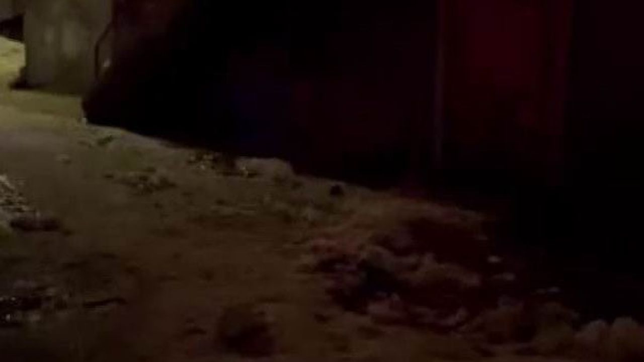 Diyarbakır'da Ev Yangını: İki Kişi Dumandan Etkilendi