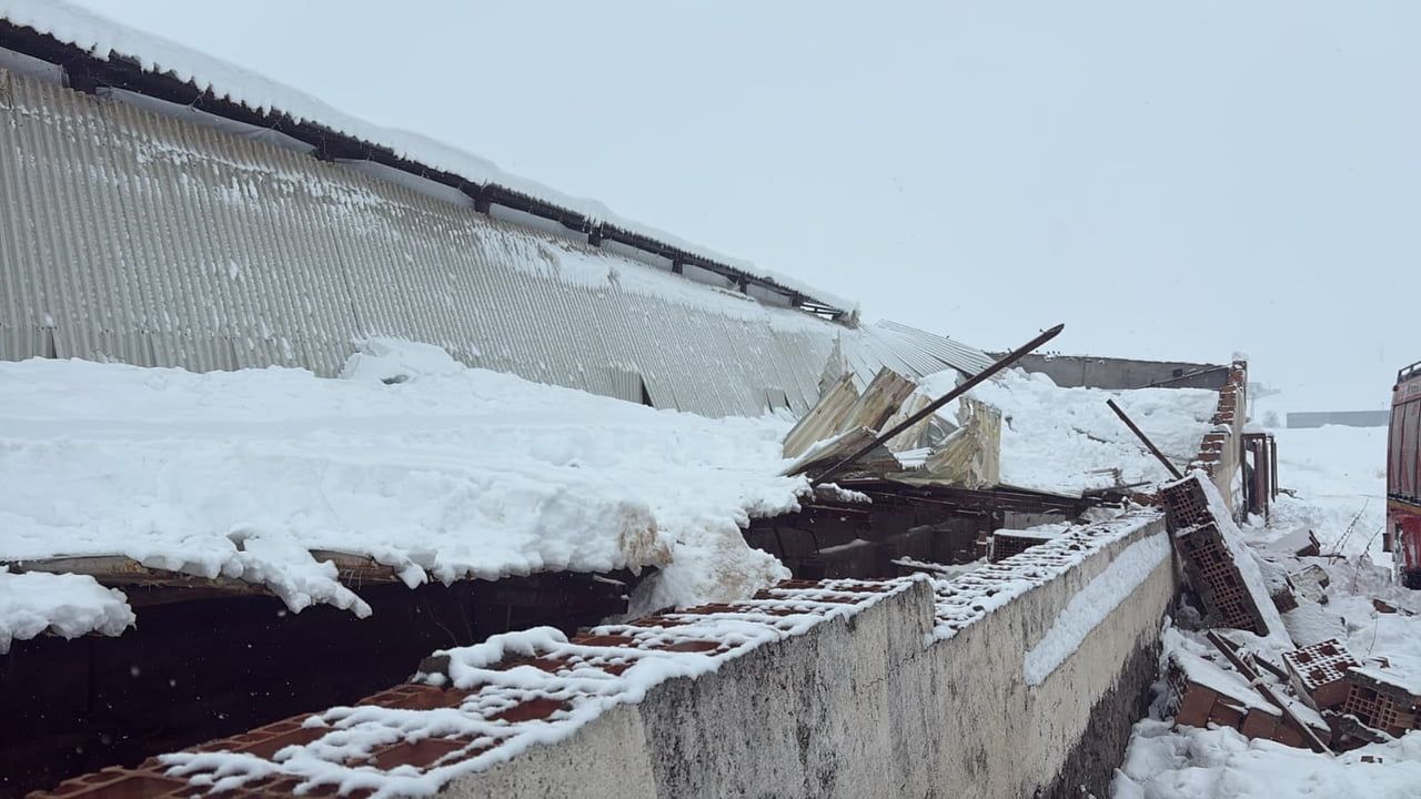 Diyarbakır'da Kar Kazası: 11 Hayvan Telef Oldu
