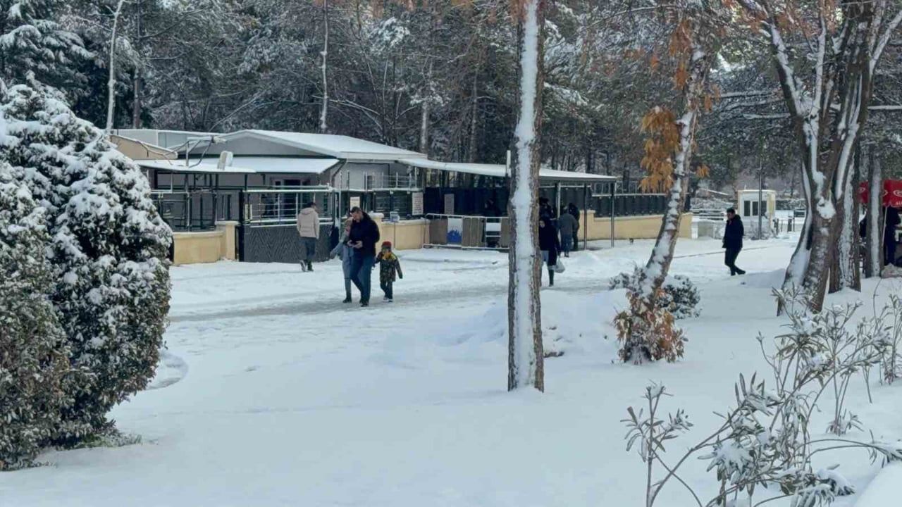 Diyarbakır'da Kar Yağışı Hayatı Olumsuz Etkiliyor