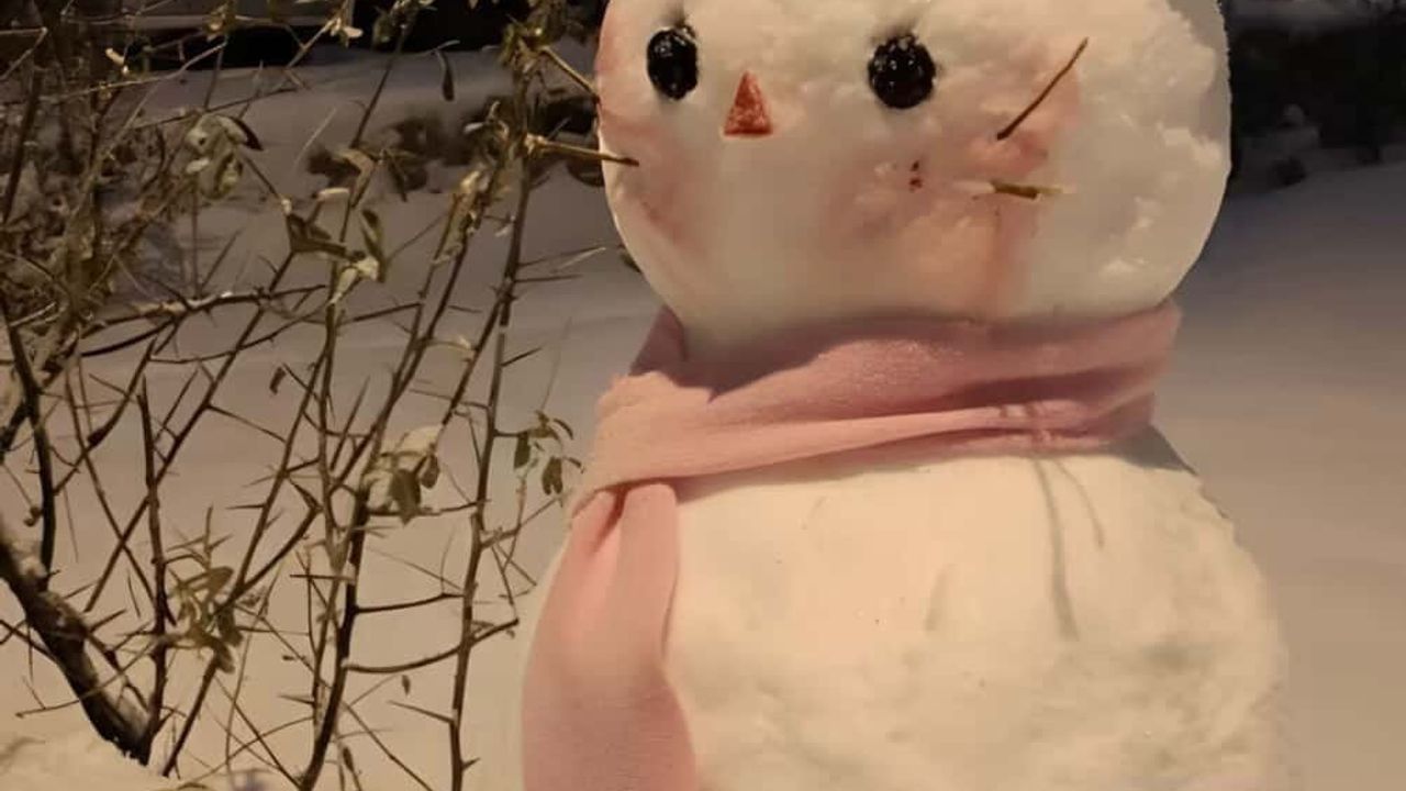 Diyarbakır’da Kardan Adam Yarışması Sonuçlandı