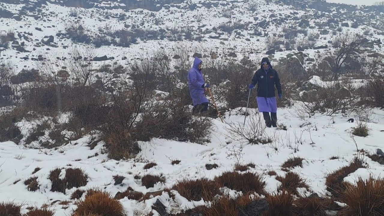 Diyarbakır'da Kayıp Kadın Arama Çalışmaları Devam Ediyor