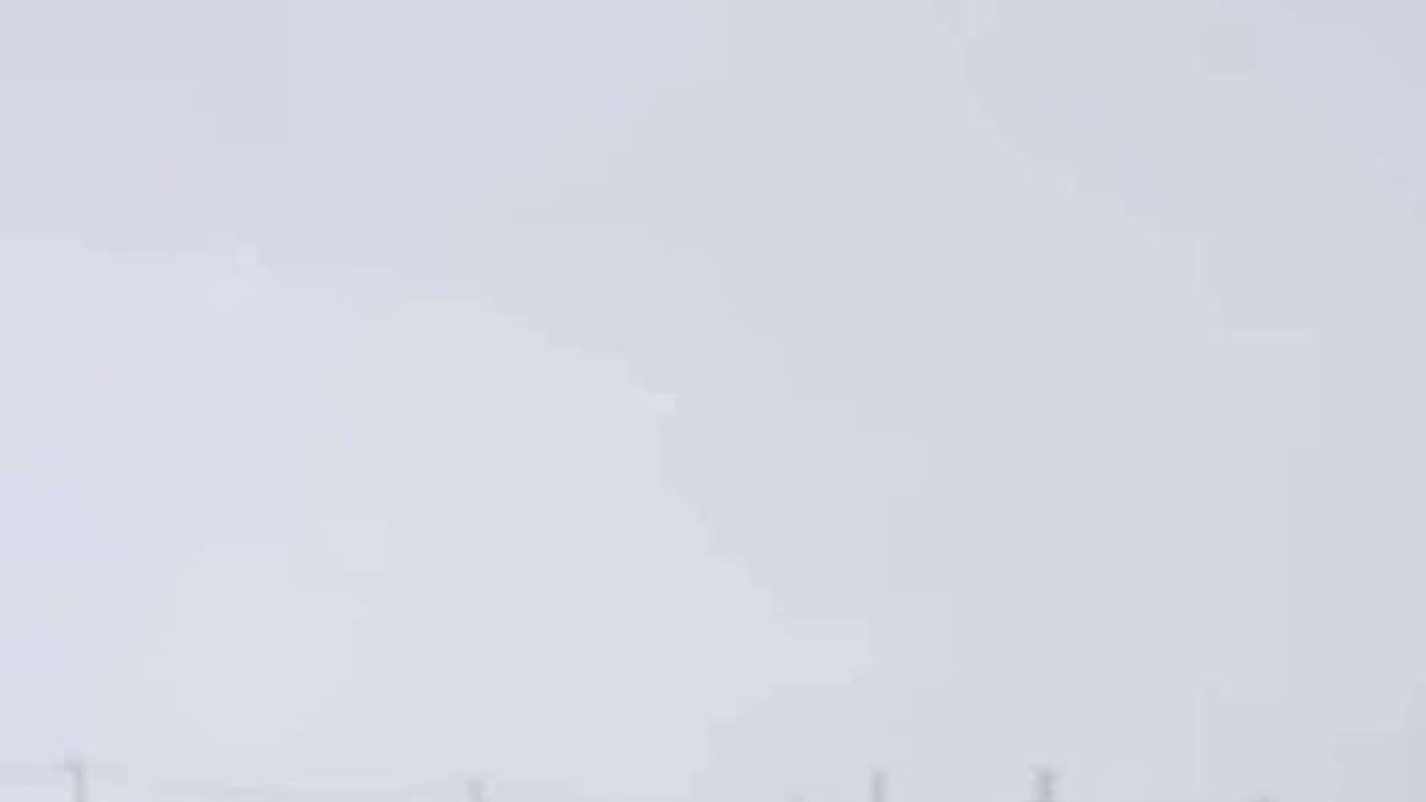 Diyarbakır’da Kurtlar Yerleşim Alanlarına İndi