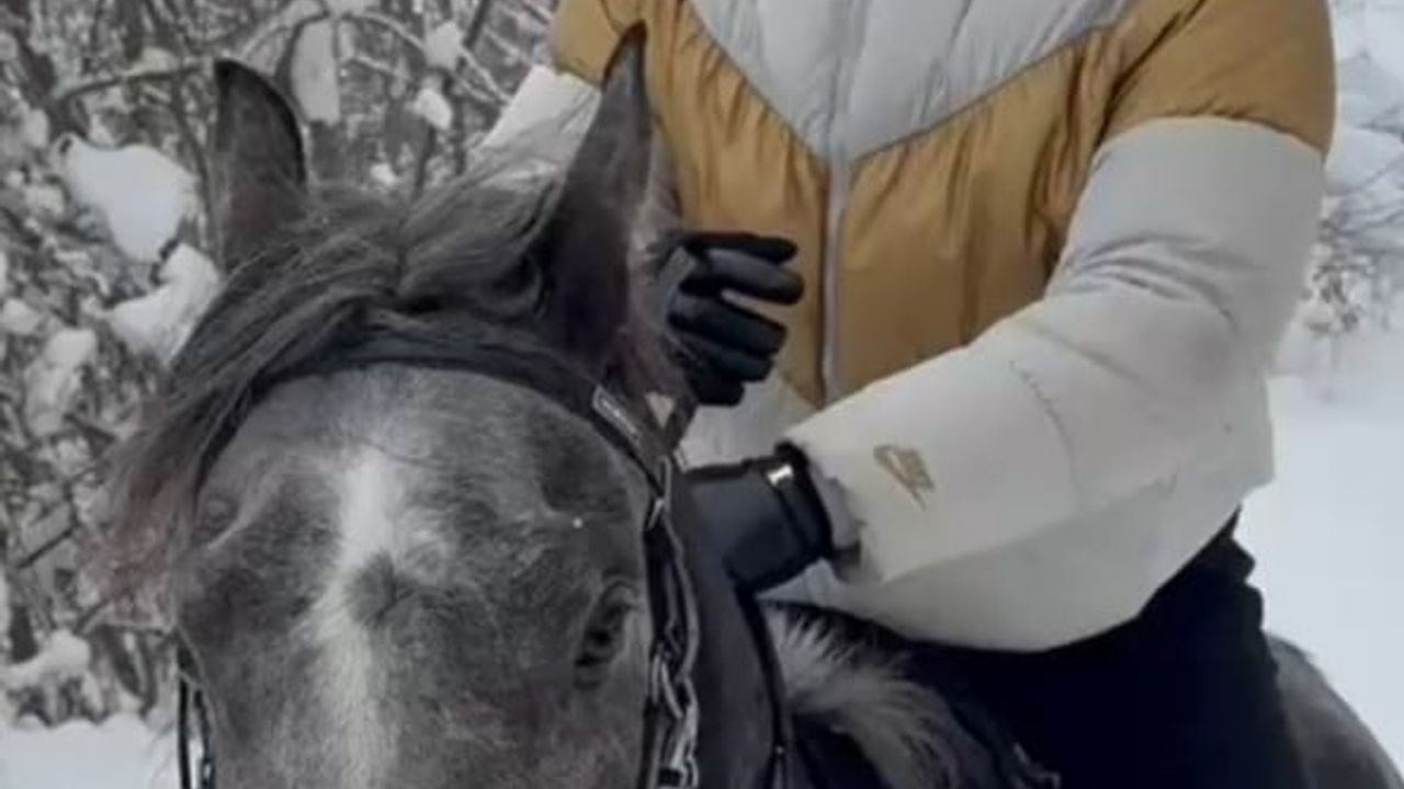 Düzce'de Kar Üzerinde Muhammed Bişgin'den At Şovu