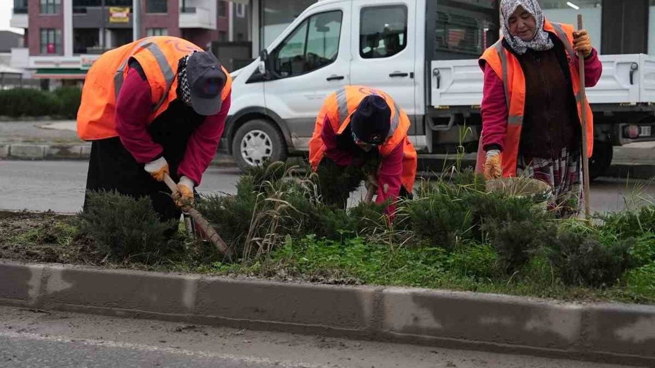 Düzce'de Yeşil Alanlar İçin Peyzaj Çalışmaları Devam Ediyor