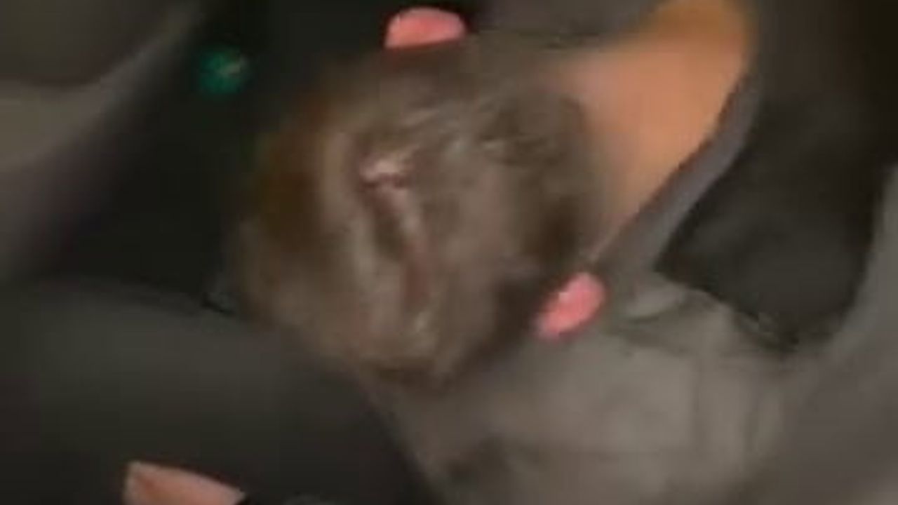 Düzce'deki Kazada 3 Kişi Kendinden Geçti