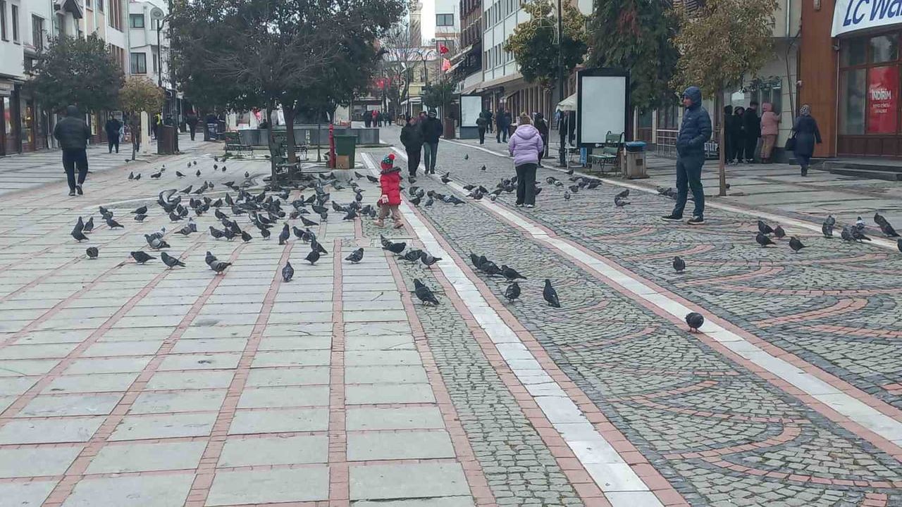 Edirne'de Dondurucu Soğuklar Hayatı Olumsuz Etkiliyor