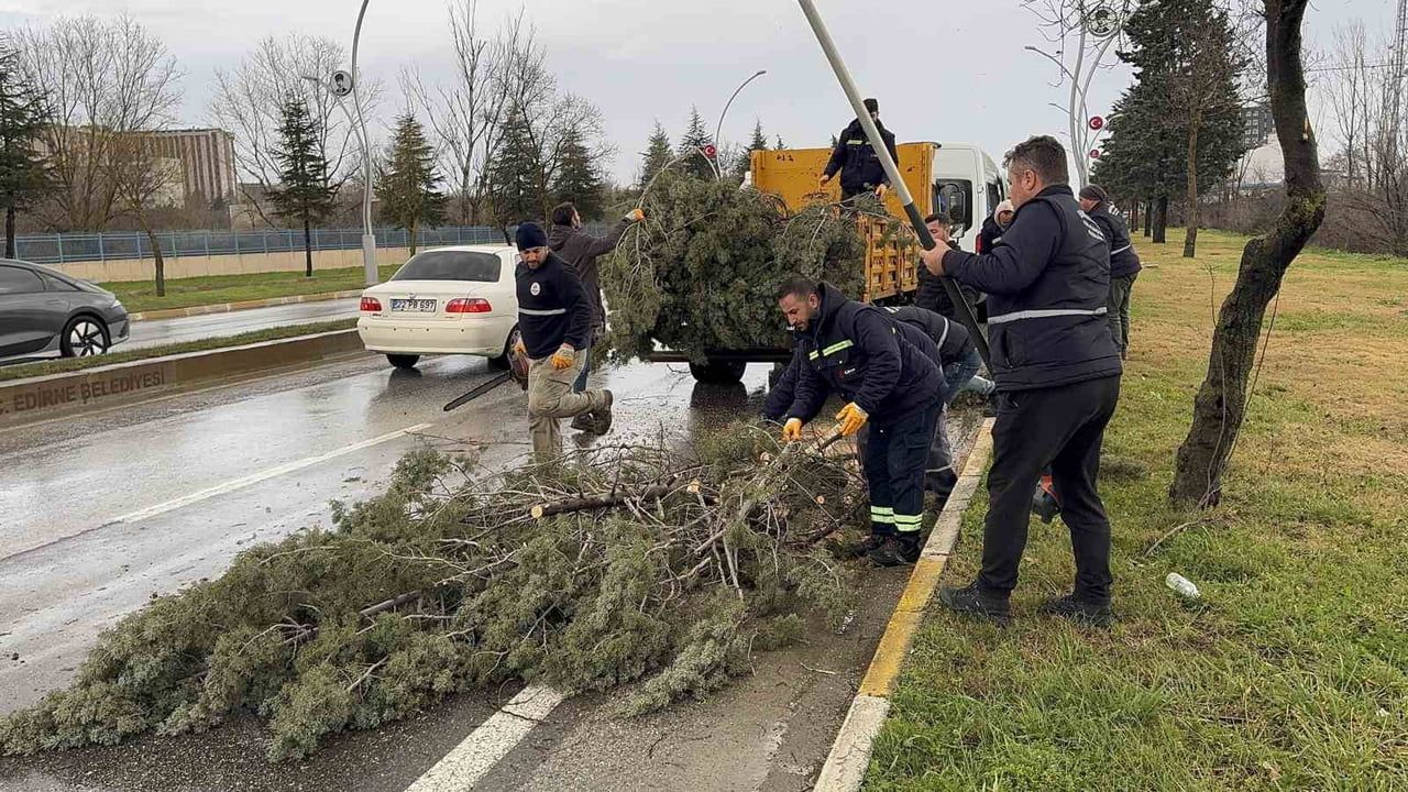 Edirne'de Fırtına Ağaçları Devirirken