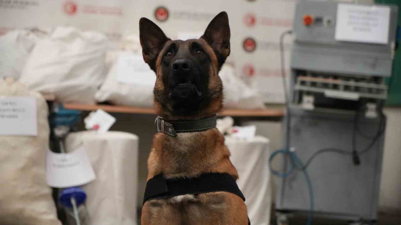 Edirne'de Uyuşturucu İmalathanesine Baskın: 117 Kilo Ele Geçirildi