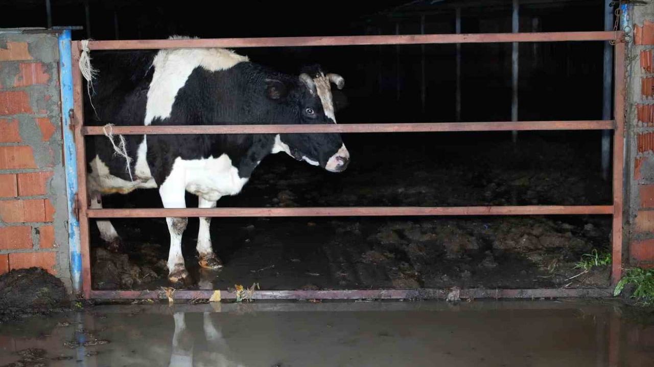 Edirne Havsa'da Şiddetli Sağanak Su Baskınlarına Neden Oldu