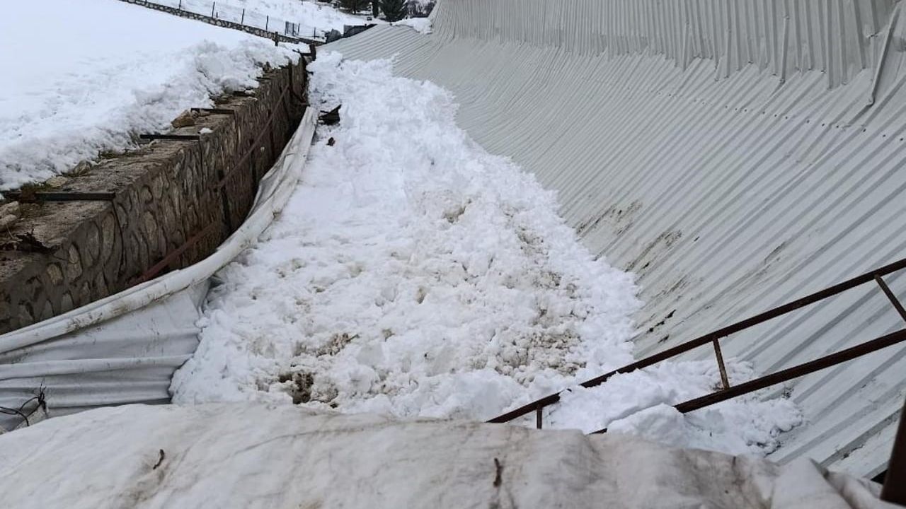 Elazığ'da Ahır Çöktü: 1 Büyükbaş Hayvan Telef Oldu