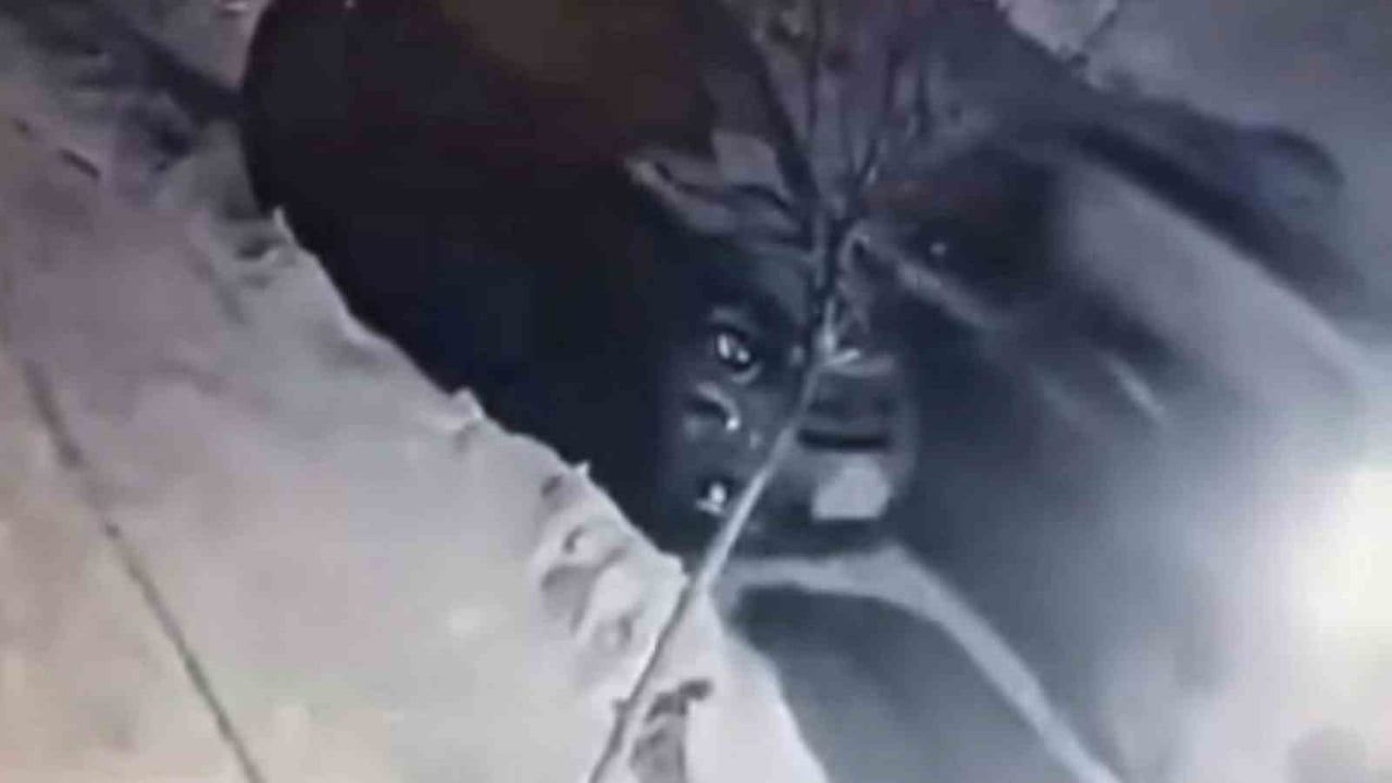 Elazığ'da Buzda Kayma Kazası