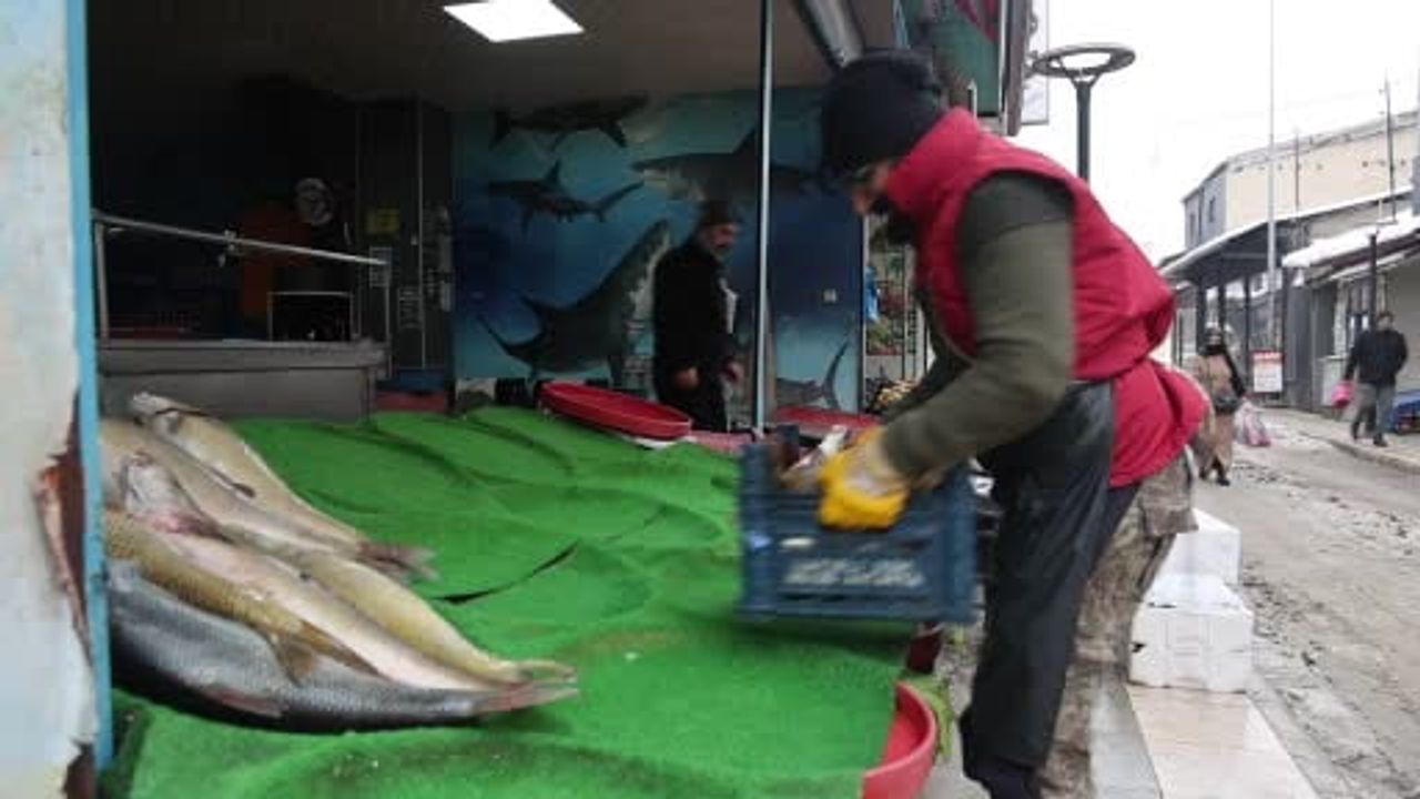 Elazığ’da Dev Turna Balığı Yakalandı