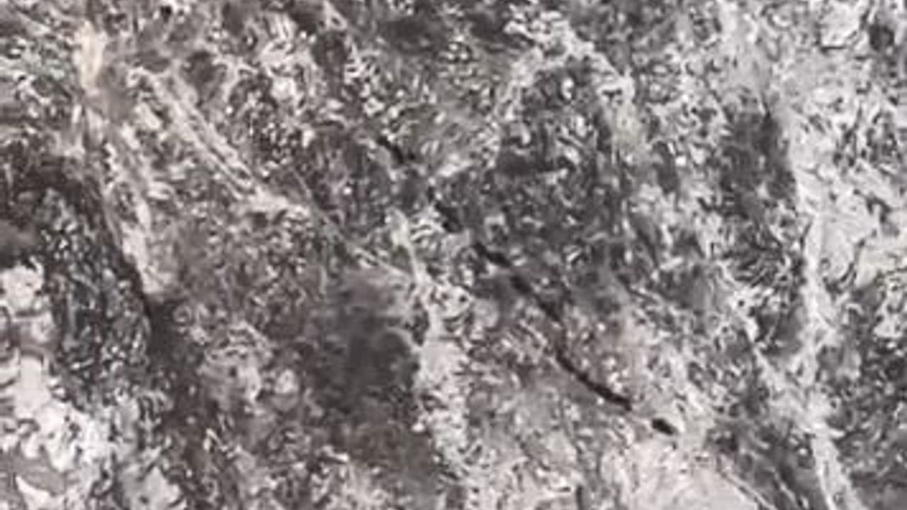 Elazığ'da Domuz Sürüsü Görüntülendi