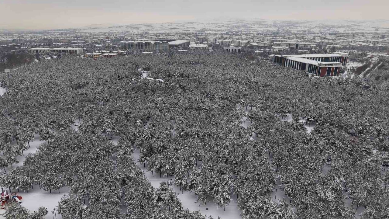 Elazığ'da Kar Manzaraları: Beton Yığınlarının Arasında Beyaz Vaha