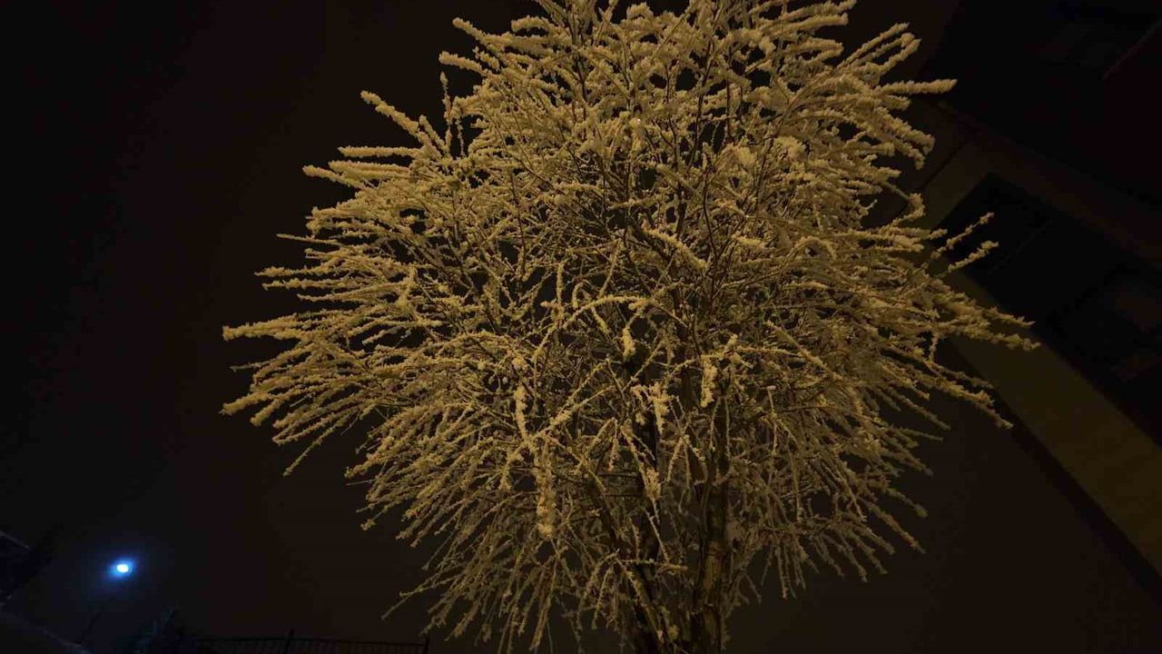 Elazığ'da Kırağı Manzaraları