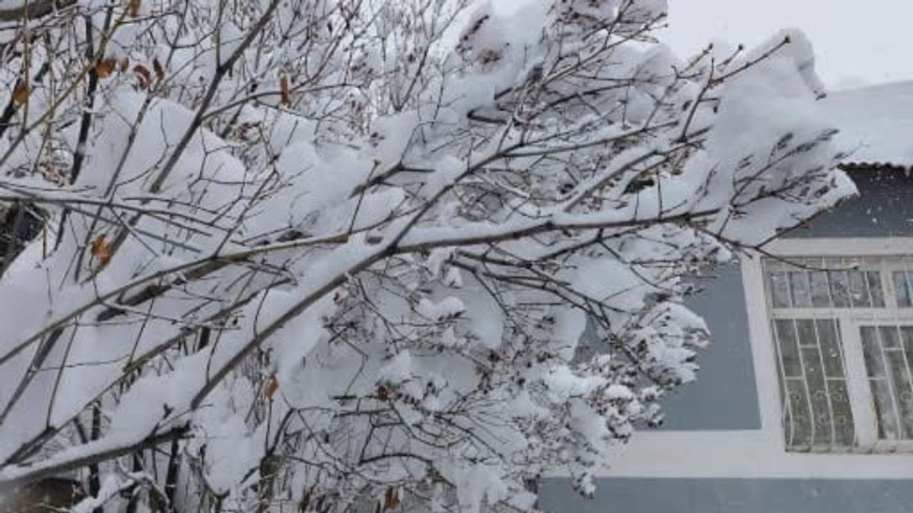 Erciş'te Kar Yağışı Hayatı Durdurdu