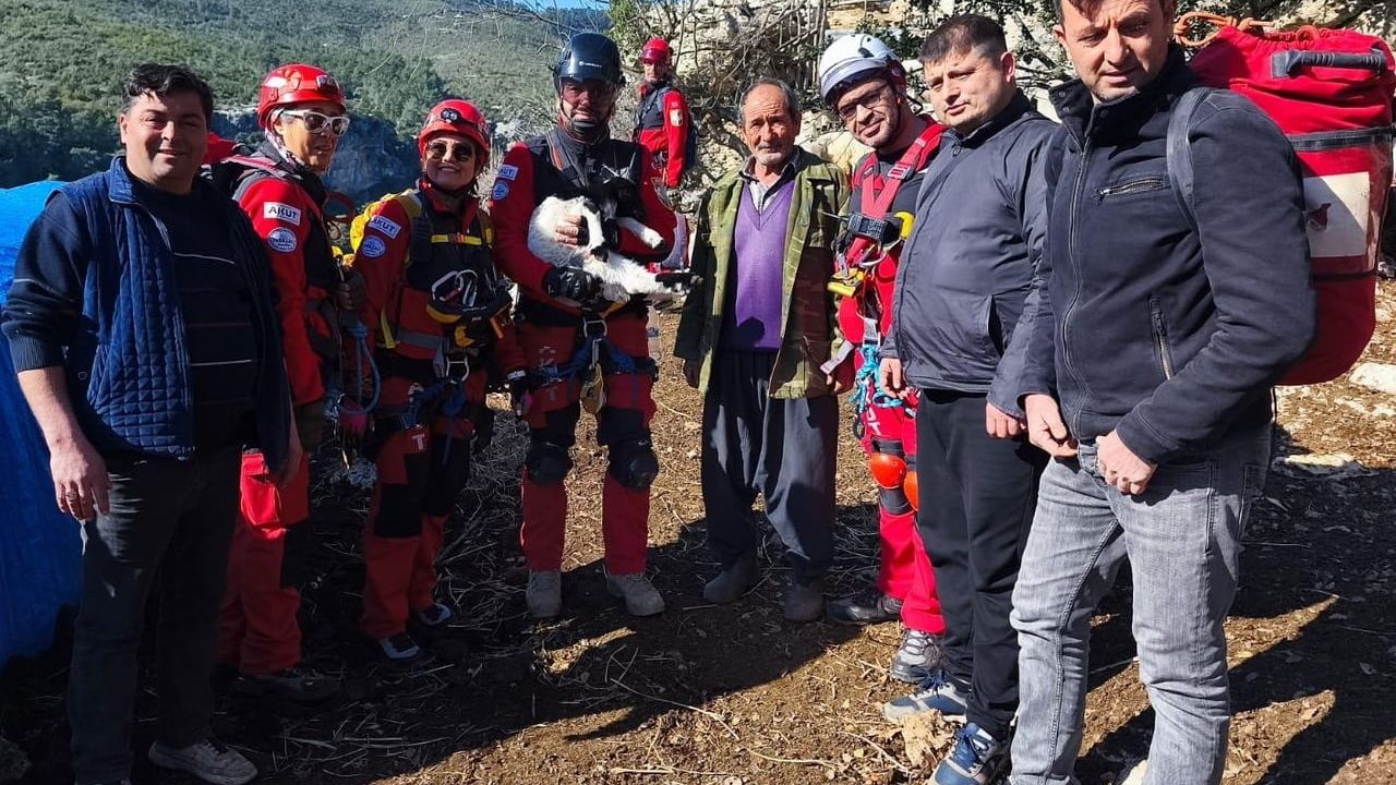 Erdemli’de Uçurumdan Düşen Kuzu Kurtarıldı