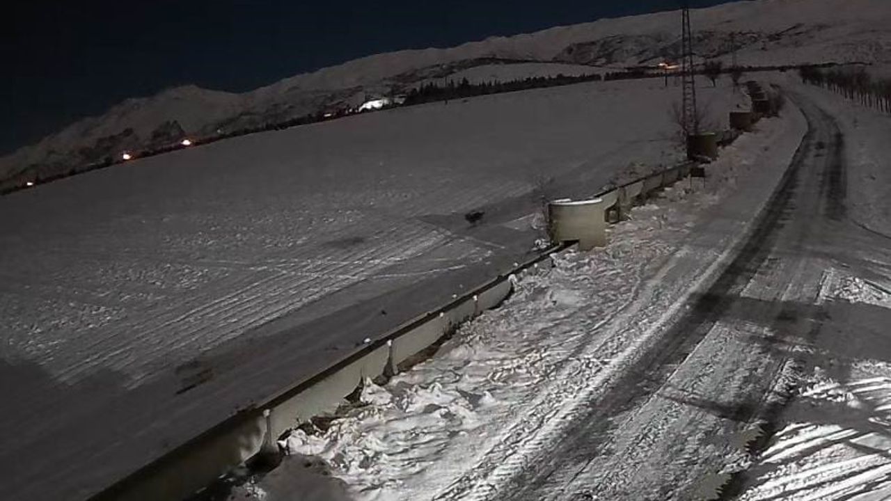 Ereğli'de Kurt Sürüsü Görüntülendi