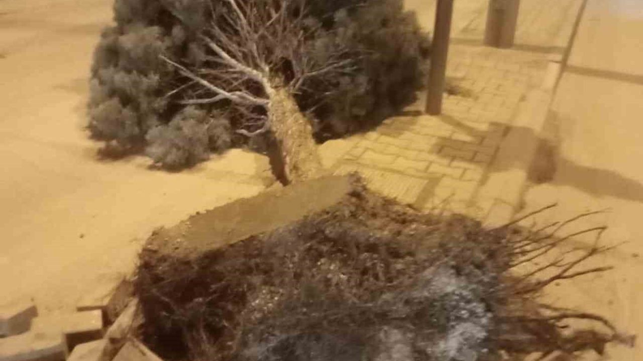 Ereğli'de Şiddetli Rüzgar Hayatı Olumsuz Etkiledi