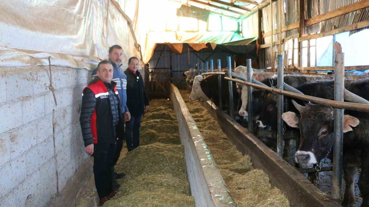 Erzincan'da Aile Hayvancılık İşletmeleri Ziyaret Edildi