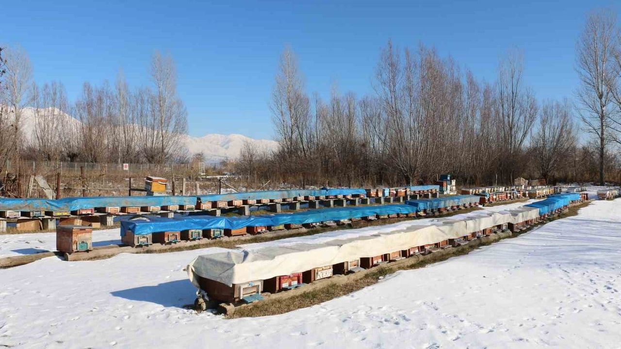 Erzincan'da Arıcılığa Destek Artıyor