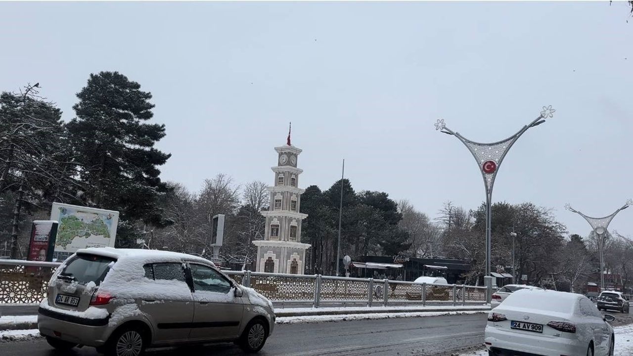 Erzincan'da Kar Yağışı Etkisi
