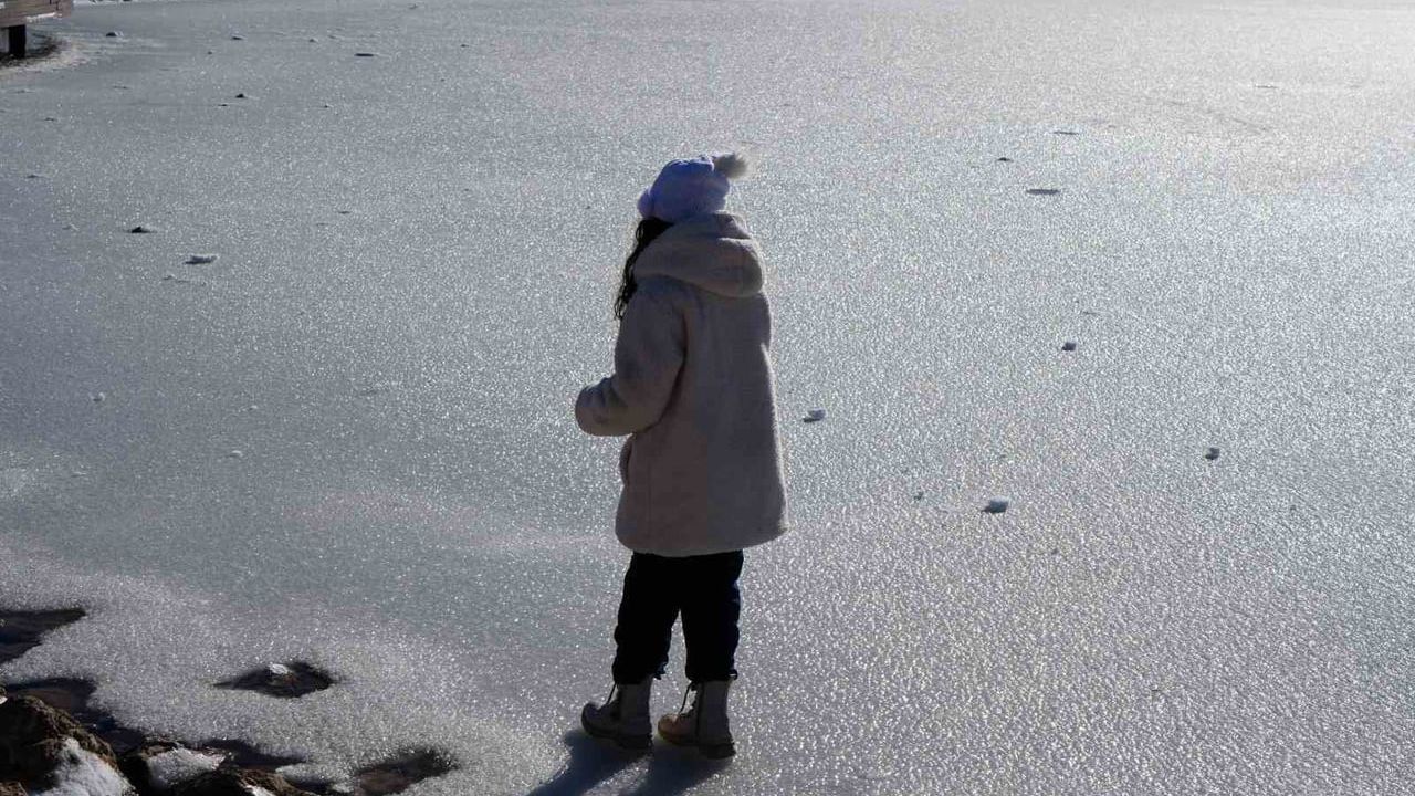 Erzincan’da Soğuk Hava Doğayı Buzla Kapladı
