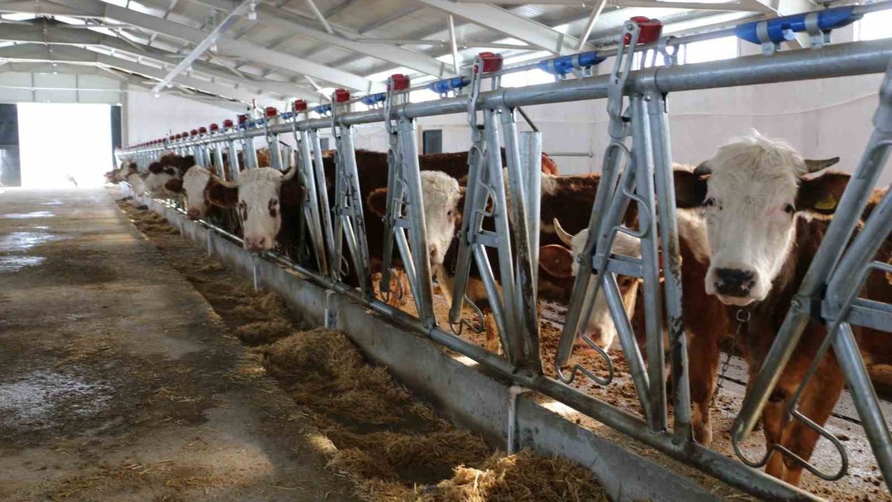 Erzincan'da Yeni Tesis Üretime Geçti