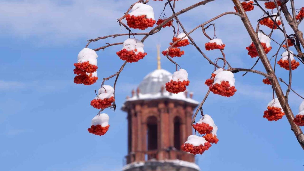 Erzurum'da Buzlanma ve Don Tehlikesi