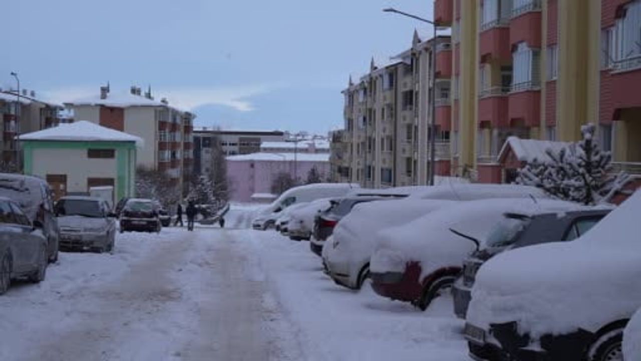 Erzurum'da Kış Şartları Zorluğa Neden Oluyor
