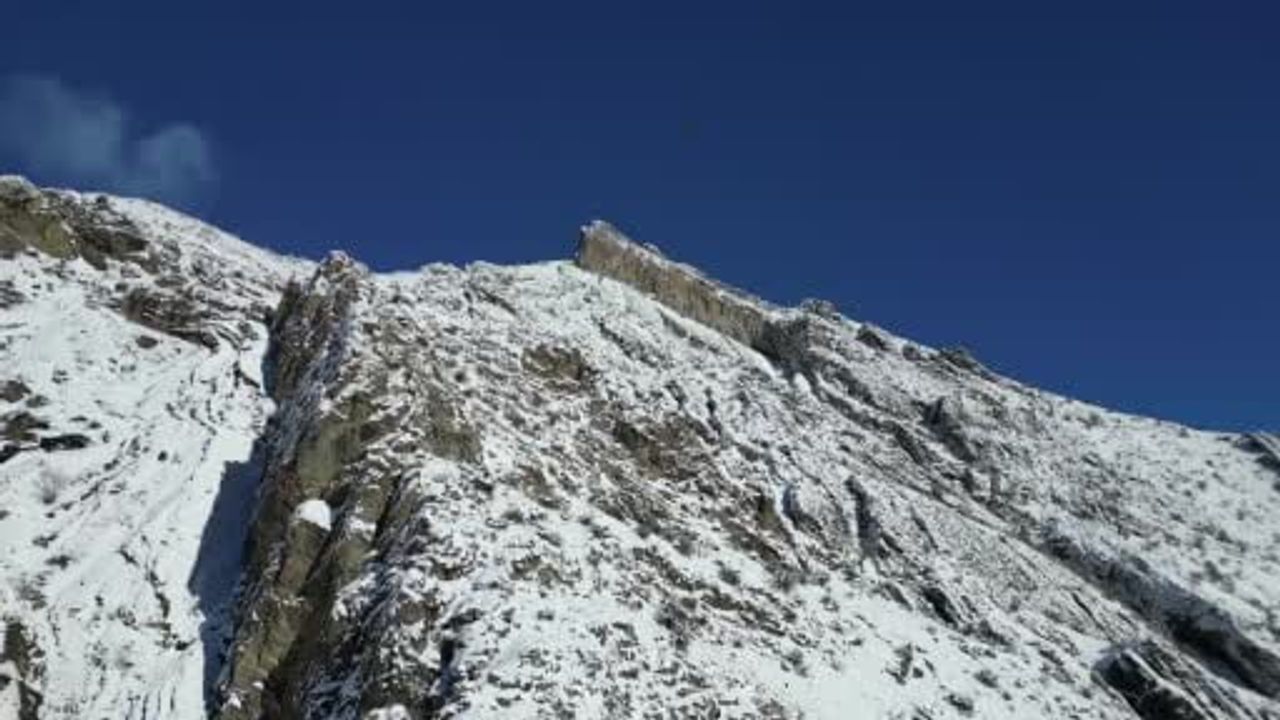 Erzurum'da Sakallı Akbaba Drone ile Görüntülendi