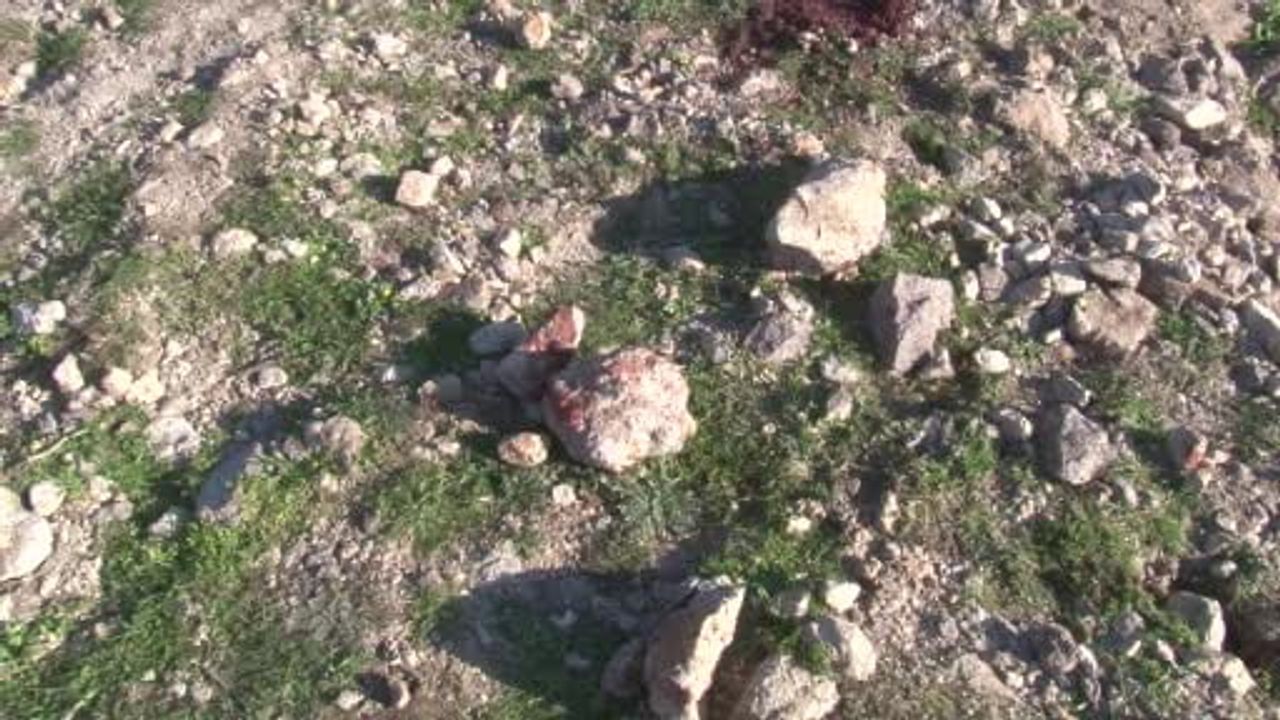 Eski İHD Şube Başkanı Ali Aydın’ın Katili Yakalandı