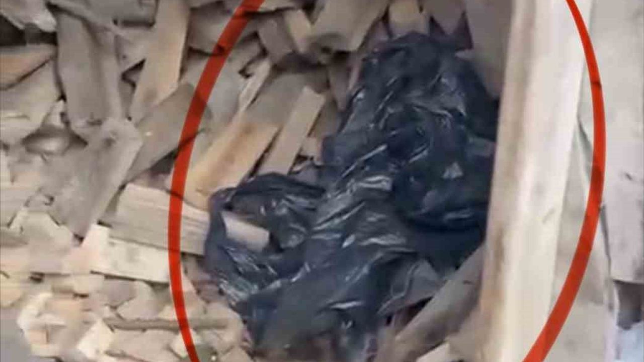 Eski Kız Arkadaşına Tuzağı Kurmuştu