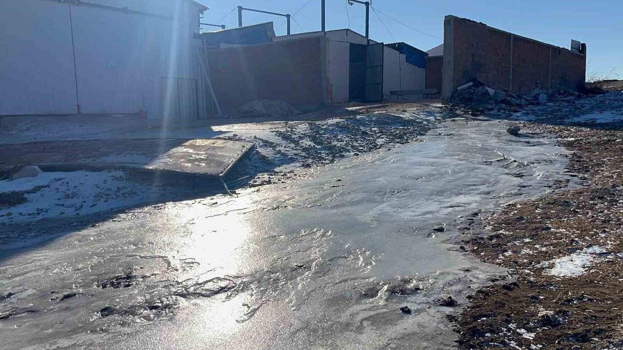 Eskişehir'de Besiciler Donan Su Şebekeleriyle Mücadele Ediyor