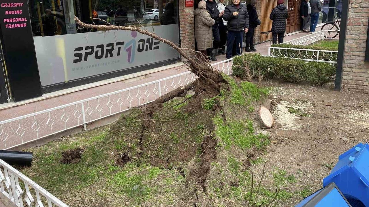 Eskişehir'de Fırtına Sonrası Ağaç Devrilmesi Olayları