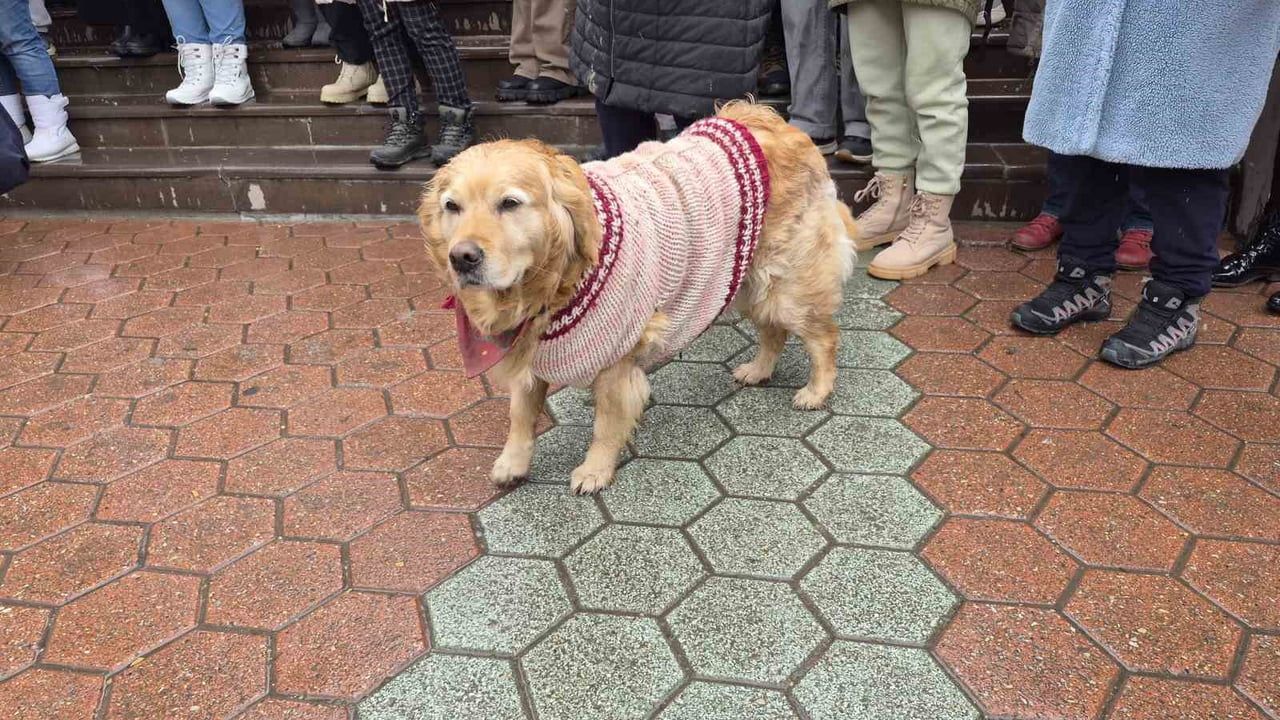 Eskişehir'de Hayvanseverlerden Eylem: Yaşam Alanları Açılmalı