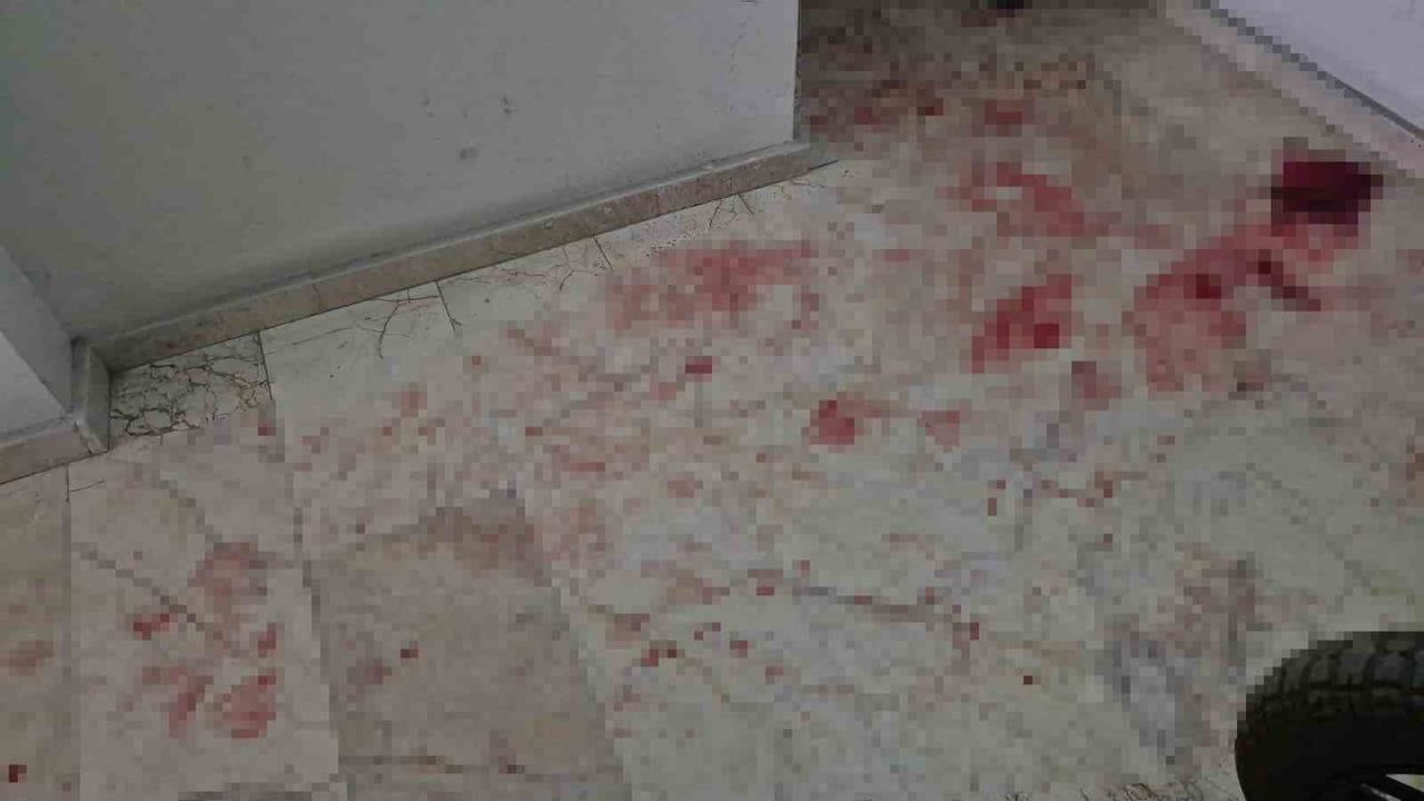 Eskişehir'de Üvey Baba Bıçaklandı: Olay Anı ve Sonrası