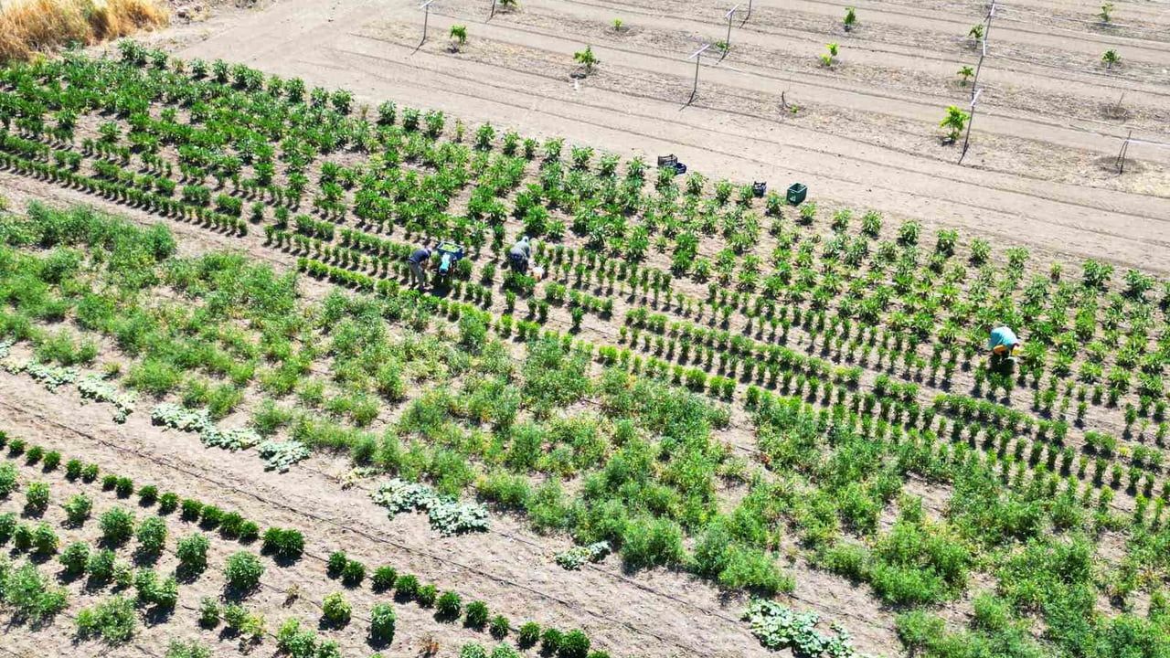 Eti Alüminyum 2025 Yılı Hedeflerini Belirledi