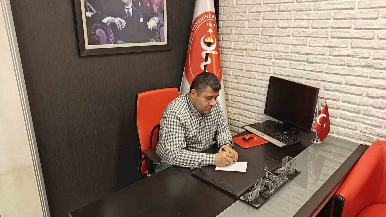 Evcil Hayvanlarda Kış Tüy Dökümü: Hastalık Belirtisi Değil