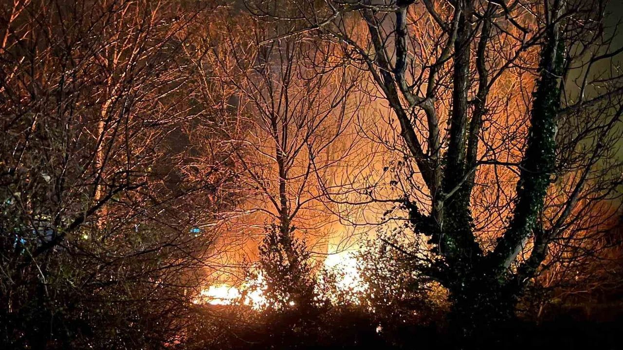 Filyos'ta Ağaçlık Alanda Yangın Panic Yarattı