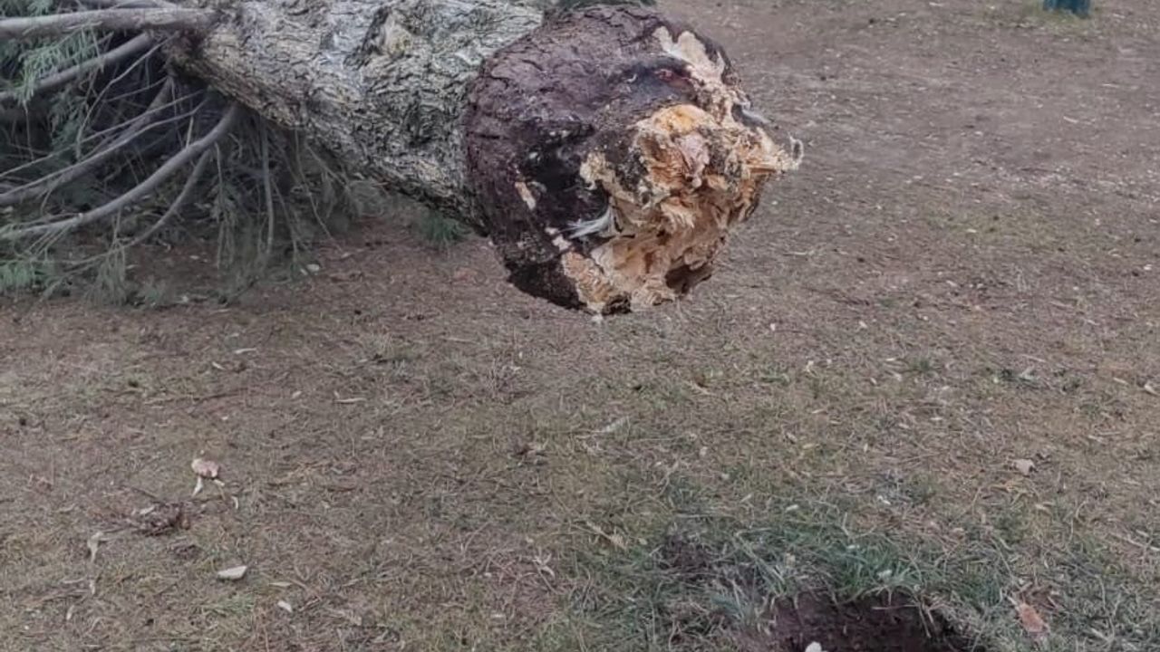 Fırtına Sonrası 75. Yıl Mahallesi'nde Zarar Oluştu