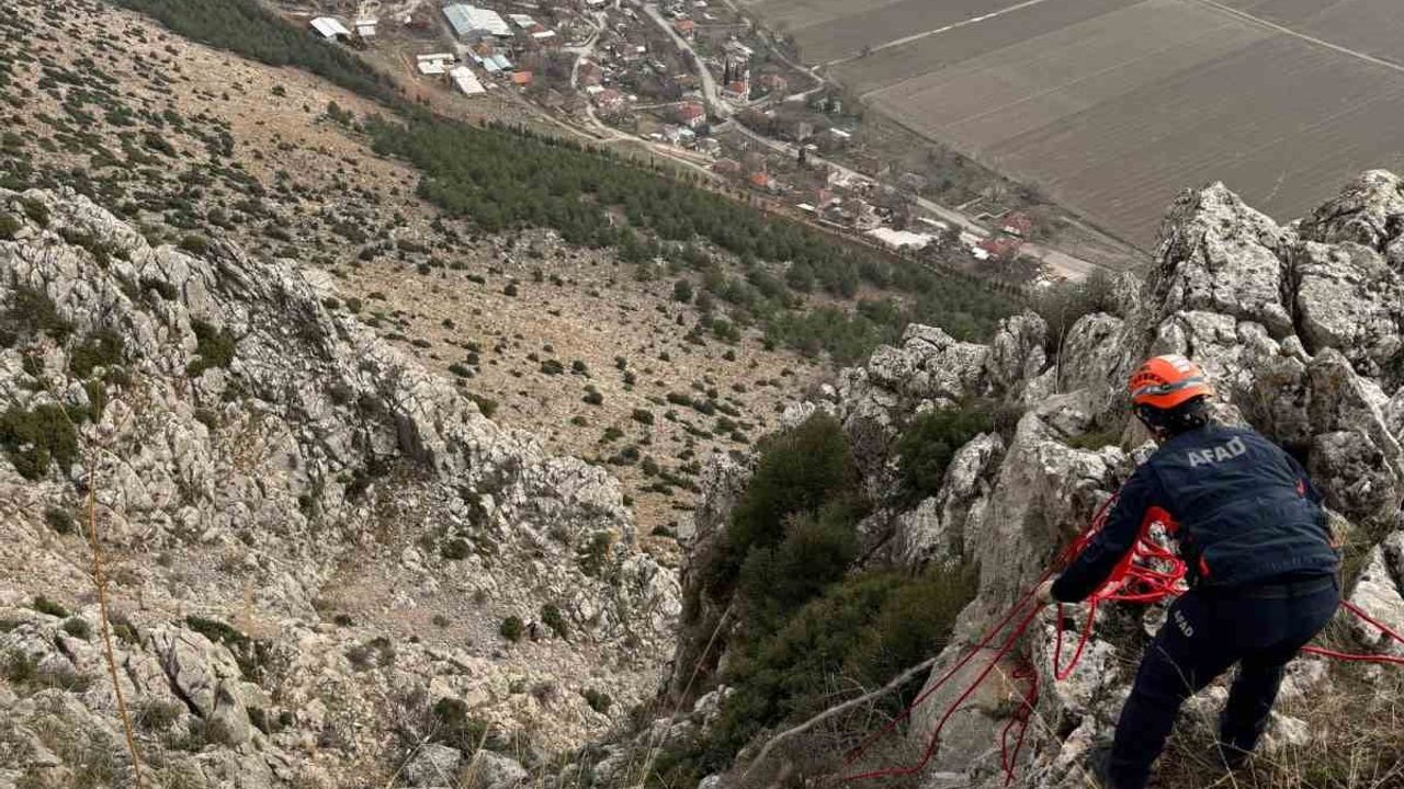 Gebe Keçi Dağda Mahsur Kalınca Kurtarıldı