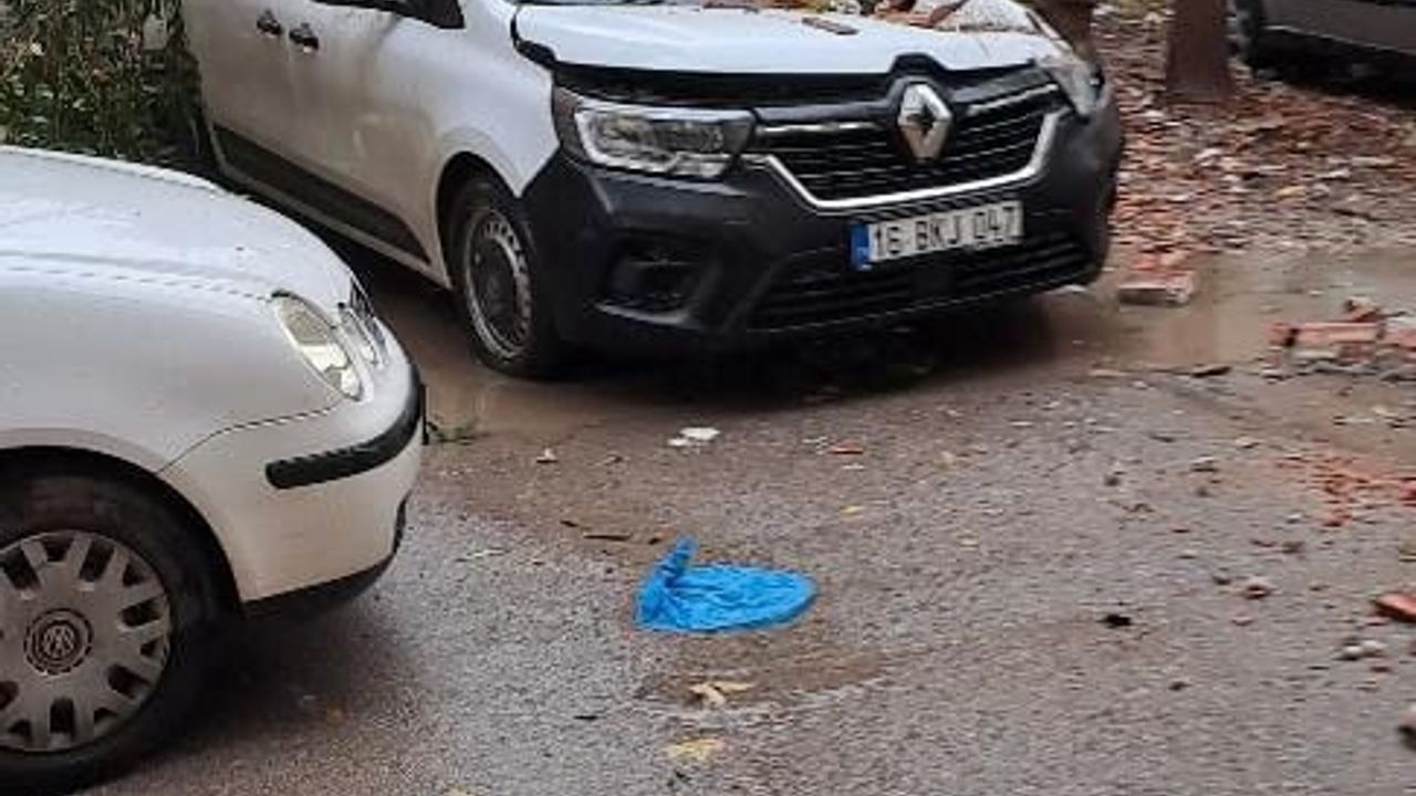 Gemlik'te Şiddetli Lodos Çatılara ve Ağaçlara Zarar Verdi