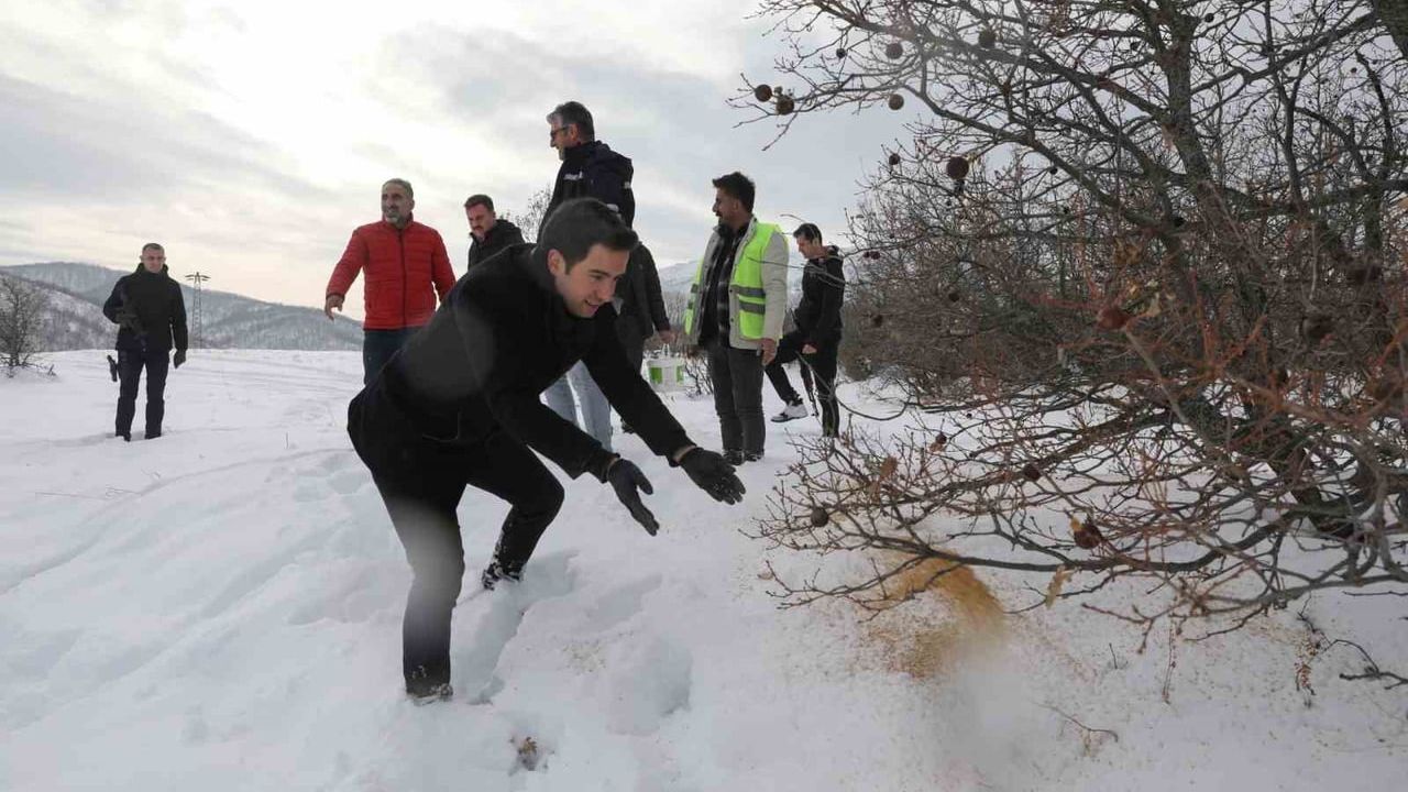 Genç İlçesinde Yaban Hayvanlarına Destek