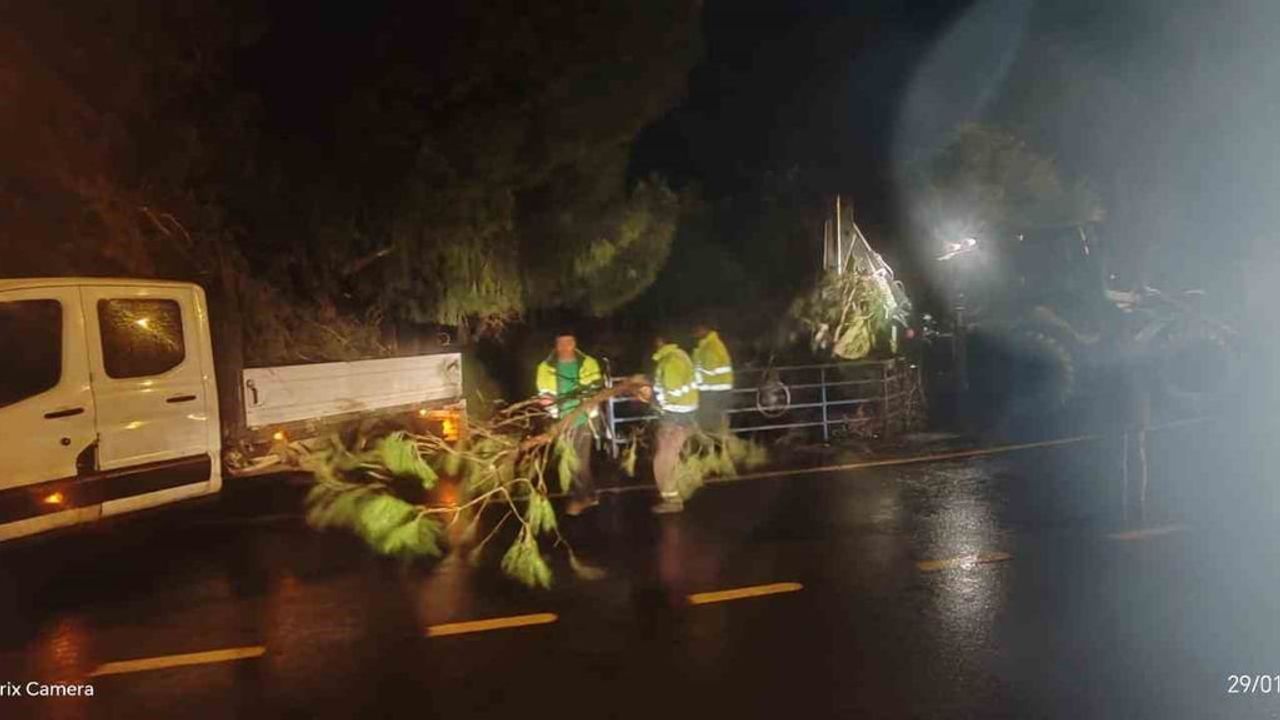 Germencik’te Fırtına Sonrası Hızlı Müdahale