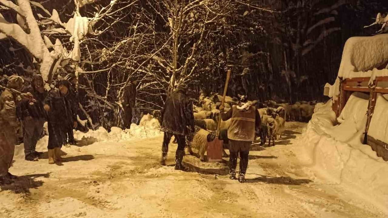 Giresun'da Çığ Felaketi: 1 Şahıs Hayatını Kaybetti